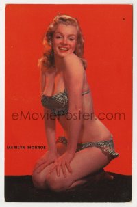 5d144 MARILYN MONROE 4x6 postcard 1950s sexy kneeling portrait in bikini, a beautiful eyeful!