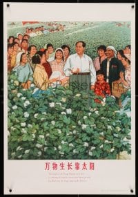 5g340 CHINESE PROPAGANDA POSTER field style 21x30 Chinese special poster 1986 cool art!