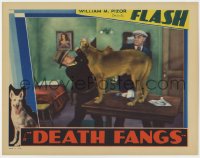5m460 DEATH FANGS LC 1934 great image of German Shepherd Flash the Wonder Dog attacking bad guys!