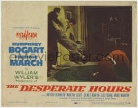 5m463 DESPERATE HOURS LC #1 1955 Martha Scott is on the ground by Martin & Fredric March fighting!