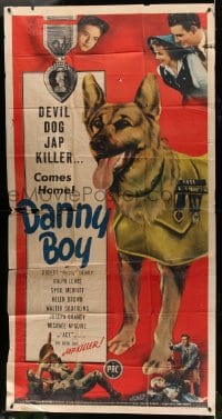 5p667 DANNY BOY 3sh 1946 decorated U.S. Marine K-9 Corps German Shepherd dog hero in uniform!