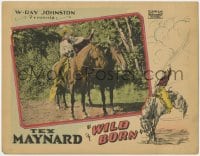 5w960 WILD BORN LC 1927 cowboy hero Kermit Tex Maynard grabbing bad guy right off his horse!