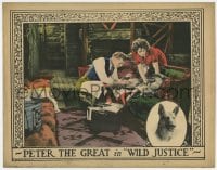 5w962 WILD JUSTICE LC 1925 German Shepherd dog Peter the Great gets his wounds tended to!