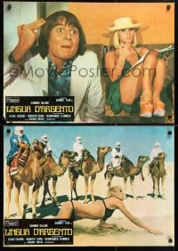 5y791 ECCO LINGUA D'ARGENTO group of 5 Italian 19x27 pbustas 1976 Carmen Villani, Nadia Cassini!