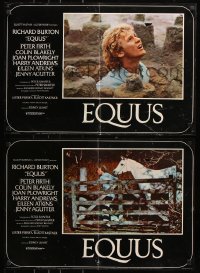 5y779 EQUUS 5 Italian 18x26 pbusta 1978 Richard Burton, Agutter, Peter Firth, Sidney Lumet directed!