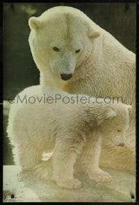 5z267 POLAR BEARS 24x36 commercial poster 1970s great close-up of adult and cub!