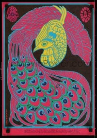 5z164 QUICKSILVER MESSENGER SERVICE/MILLER BLUES BAND/DAILY FLASH 14x20 music poster 1967 peacock!