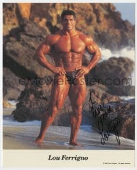 6b586 LOU FERRIGNO signed color 8x10 publicity still 1994 on beach showing his incredible physique!