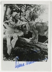 6b406 DIANA MULDAUR signed 5x7 photo 1980s she's happily petting lioness Ilsa in Born Free!