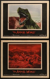 6c902 ANIMAL WORLD 2 LCs 1956 directed by Irwin Allen, dinosaurs animated by Harryhausen/O'Brien!