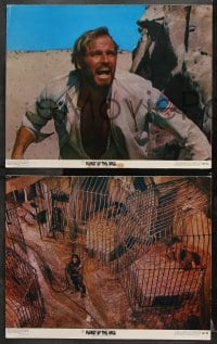6c874 PLANET OF THE APES 3 color 11x14 stills 1968 great images of Charlton Heston, classic sci-fi!