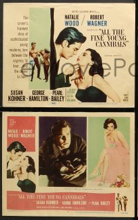 6c037 ALL THE FINE YOUNG CANNIBALS 8 LCs 1960 Robert Wagner w/ Natalie Wood & getting hit by Kohner!