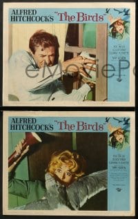 6c077 BIRDS 8 LCs 1963 Alfred Hitchcock, Tippi Hedren, Rod Taylor, classic horror, complete set!