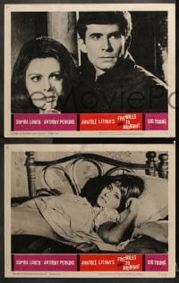 6c208 FIVE MILES TO MIDNIGHT 8 LCs 1963 Le Couteau dans la Plaie, Sophia Loren & Anthony Perkins!