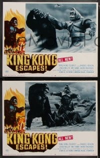 6c324 KING KONG ESCAPES 8 LCs 1968 Ishiro Honda's Kingukongu no Gyakushu, cool monster images!