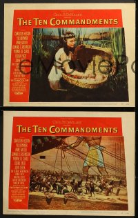 6c882 TEN COMMANDMENTS 3 LCs 1956 Cecil B. DeMille classic, Foch finds baby Moses & cast scenes!