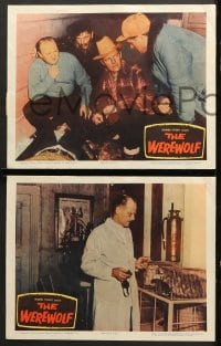 6c809 WEREWOLF 4 LCs 1956 Steven Ritch in the title role, scientists turn men into beasts!