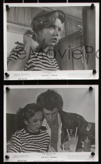 6d312 CRAZY MAMA 20 8x10 stills 1975 Jonathan Demme, Cloris Leachman, Linda Purl, Crazy Ladies!