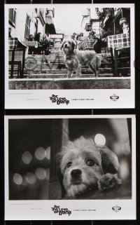 6d586 FOR THE LOVE OF BENJI 8 8x10 stills 1977 Joe Camp directed, loveable dog!