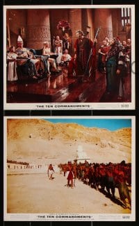 6d195 TEN COMMANDMENTS 6 color 8x10 stills 1956 Cecil B. DeMille classic, Charlton Heston, Brynner!