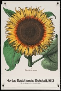 6g052 BASILIUS BESLER 24x36 art print 1971 Hortus Eystettensis, gorgeous art of sunflower!