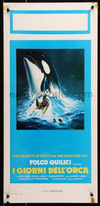 6p687 KILLERS OF THE WILD Italian locandina 1978 different art of men in raft & killer whale!