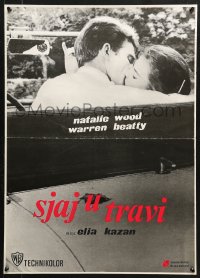 6p450 SPLENDOR IN THE GRASS Yugoslavian 20x27 1970s Natalie Wood kissing Warren Beatty, Elia Kazan!