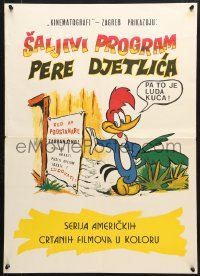 6p466 WOODY WOODPECKER Yugoslavian 20x27 1960s great art of the character next to sign!