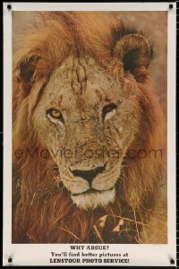6r120 LENSTOUR PHOTO SERVICE 25x38 advertising poster 1970s image of a male lion by W. Young!