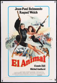 6s045 ANIMAL linen int'l Spanish language 1sh 1977 art of Jean-Paul Belmondo & sexy Raquel Welch!