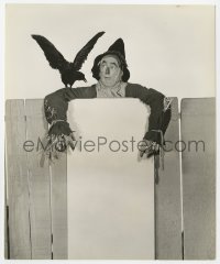 6w350 WIZARD OF OZ deluxe 7.25x9 still 1939 portrait of Ray Bolger as Scarecrow, who needs a brain!