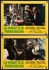 6y668 REVENGE OF FRANKENSTEIN group of 8 Italian 19x27 pbustas 1958 different images of Cushing!
