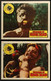 7c848 HORRORS OF SPIDER ISLAND 2 LCs 1965 one bite and it turned him into a most hideous monster!