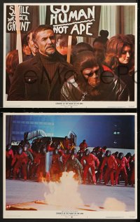 7c431 CONQUEST OF THE PLANET OF THE APES 5 LCs 1972 Roddy McDowall, apes are revolting!