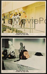 7c617 ESCAPE FROM THE PLANET OF THE APES 3 LCs 1971 Baby Milo has Washington terrified!