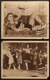 7c613 DEVIL'S HARVEST 3 LCs R1940s great wacky image of crazed teens after smoking marijuana!