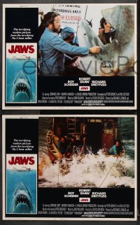 7c512 JAWS 4 LCs 1975 Roy Scheider, Robert Shaw, Richard Dreyfuss, Gary, Spielberg's shark!