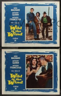 7c319 WILD IS THE WIND 8 LCs 1958 Anthony Quinn, Tony Franciosa, sexy Anna Magnani!