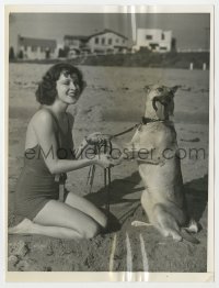 7f374 FRANCES DEE 6x8 news photo 1933 her German shepherd loves to sit up & do tricks for her!
