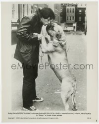 7f797 ROCKY 8.25x10.25 still 1977 Sylvester Stallone giving kiss to his enormous dog Butkus!