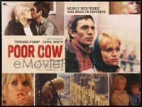 7j562 POOR COW DS British quad R2016 1st Ken Loach, Terence Stamp, sexy Carol White!