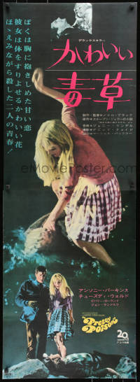 7j999 PRETTY POISON Japanese 2p 1968 psycho Anthony Perkins & crazy Tuesday Weld, different!