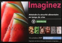 7k372 FOOD & AGRICULTURE ORGANIZATION 26x38 French special poster 2009 colorful fruit & vegetables!