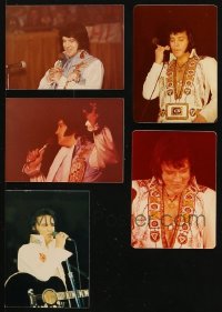 7m339 LOT OF 5 ELVIS PRESLEY COLOR 4X5 PHOTOS 1976 the legendary star performing in California!