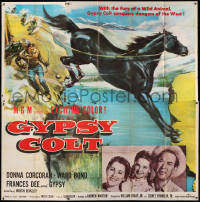 7t069 GYPSY COLT 6sh 1954 Ward Bond, Frances Dee, young Donna Corcoran & wild stallion, rare!