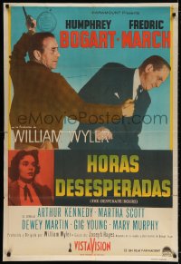 7t119 DESPERATE HOURS Argentinean 1955 Humphrey Bogart attacking Fredric March, William Wyler