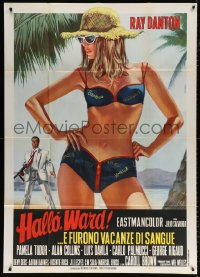 7t751 HELLO GLEN WARD HOUSE DICK Italian 1p 1968 Casaro art of Ray Danton w/gun & sexy bikini babe!