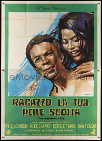7t456 LEARNING TREE Italian 2p 1970 cool different Manfredo Acerbo art, directed by Gordon Parks!