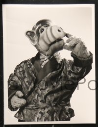 8c379 ALF 13 TV 7x9 stills 1980s great images of the wacky alien puppet and the Tanner Family!