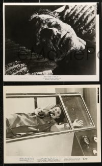 8c528 CURSE OF THE FLY 9 8x10 stills 1965 Donlevy, English sci-fi sequel, includes monster images!